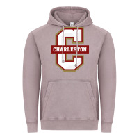Vintage Zinc the charleston cougars Vintage Hoodie - linhVisuals