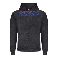 Vintage Black GATORS BASEBALL Vintage Hoodie - linhVisuals