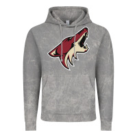 The-coyotes-of-arizona-sporst Vintage Hoodie | Teevron