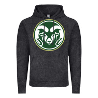 Vintage Black The colorado state rams Vintage Hoodie - linhVisuals