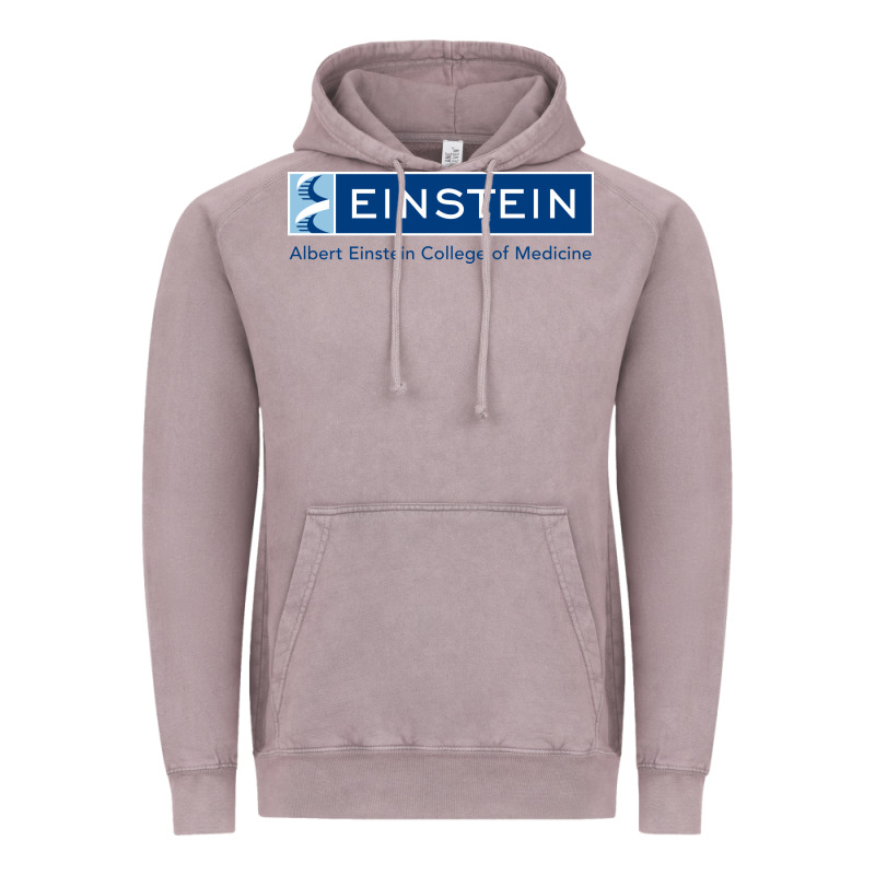 Albert Einstein College Of Medicine Vintage Hoodie by linhVisuals | Teevron
