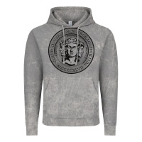 City College Of New York Seal Vintage Hoodie | Teevron
