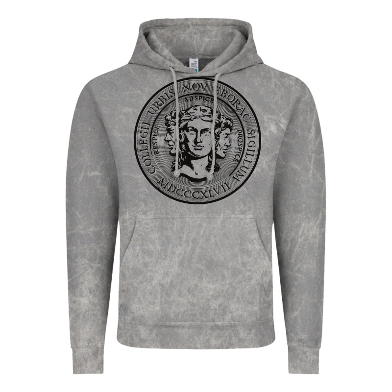 City College Of New York Seal Vintage Hoodie by linhVisuals | Teevron