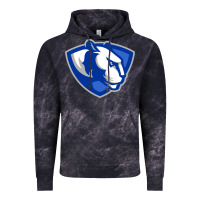 Cloud Black The eastern illinois panthers Vintage Hoodie - linhVisuals
