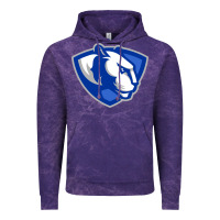 Cloud Purple The eastern illinois panthers Vintage Hoodie - linhVisuals