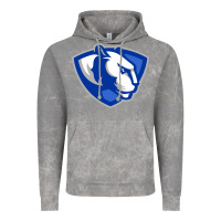 Cloud Rock The eastern illinois panthers Vintage Hoodie - linhVisuals