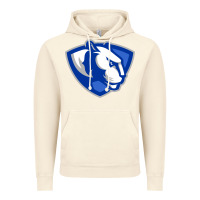 Vintage Artic The eastern illinois panthers Vintage Hoodie - linhVisuals