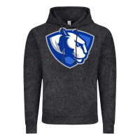 Vintage Black The eastern illinois panthers Vintage Hoodie - linhVisuals
