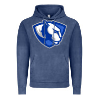 Vintage Denim The eastern illinois panthers Vintage Hoodie - linhVisuals