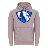 Vintage Zinc The eastern illinois panthers Vintage Hoodie - linhVisuals