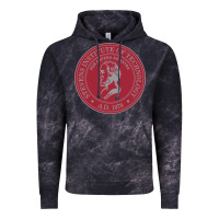 Stevens Institute Of Technology Vintage Hoodie | Teevron
