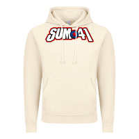 Vintage Artic Artwork SUM41 Vintage Hoodie - linhVisuals