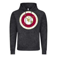 Vintage Black florida institute of technology Vintage Hoodie - linhVisuals