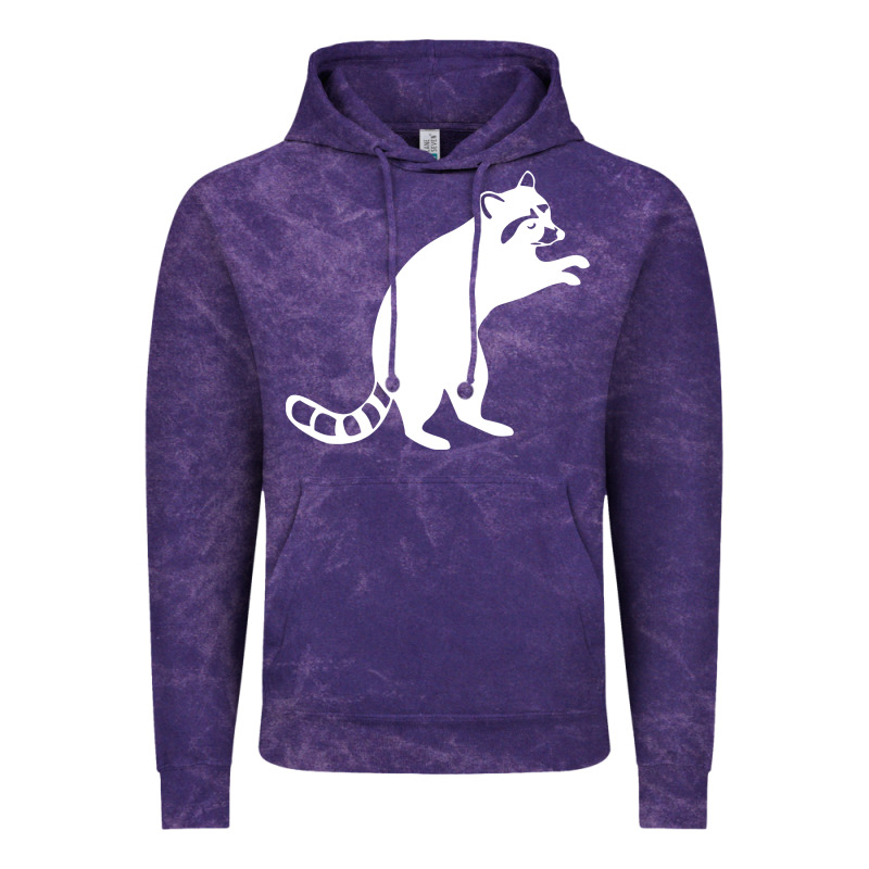 Raccoon Vintage Hoodie by linhVisuals | Teevron