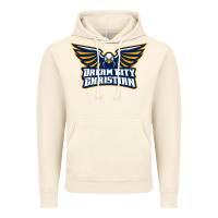 Vintage Artic twin city christian school Vintage Hoodie - linhVisuals