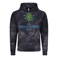 Cloud Black bryn mawr school Vintage Hoodie - linhVisuals