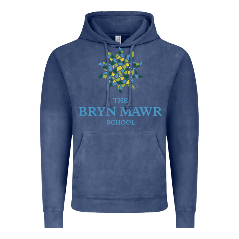 Bryn Mawr School Vintage Hoodie by linhVisuals | Teevron