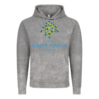 Cloud Rock bryn mawr school Vintage Hoodie - linhVisuals