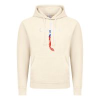 Vintage Artic chilean map and flag   distressed chile souvenir t shirt Vintage Hoodie - linhVisuals