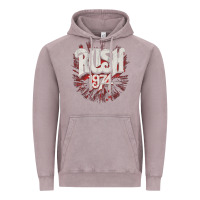 Vintage Zinc Rush 1974 Vintage Hoodie - linhVisuals