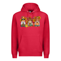 Cardinal fall gnomes pumpkin sunflowers Premium Hoodie - Artiststas