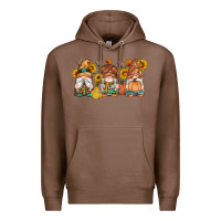 Chestnut fall gnomes pumpkin sunflowers Premium Hoodie - Artiststas