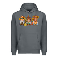Rock fall gnomes pumpkin sunflowers Premium Hoodie - Artiststas