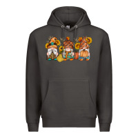 Smoke fall gnomes pumpkin sunflowers Premium Hoodie - Artiststas