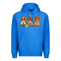 True Royal fall gnomes pumpkin sunflowers Premium Hoodie - Artiststas