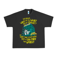 Pigment Black Pinky and the Brain The World Urban Heavy Tee - maiPhamDesign