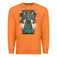 Carrot cross1 Premium Sweatshirt - RanaPortraitStore