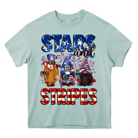 Arona Stars and stripes gnomes 4th of july Heavy Core Tee - CowGirlArtShop