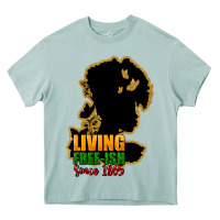 Arona Living free-ish since 1865 Heavy Core Tee - HowdyJamesFarm