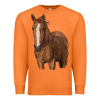 Carrot brown horse Premium Sweatshirt - RanaPortraitStore