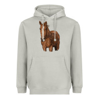 Moon Dust brown horse Heavyweight Hoodie - RanaPortraitStore