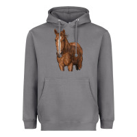 Storm brown horse Heavyweight Hoodie - RanaPortraitStore