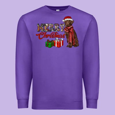 Merry Christmas Labrador Retriever Premium Sweatshirt Designed By Ranaportraitstore