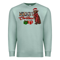 Seafoam merry christmas labrador retriever Premium Sweatshirt - RanaPortraitStore