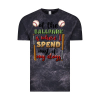 Cloud Black at the ballpark is where i spend most my days Vintage Tee - BundleAndBundleShop