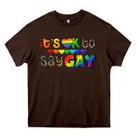 Chocolate Brown It's okay to say Gay pride Heavy Core Tee - CowGirlArtShop