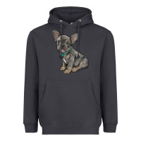 Smoke french bulldog Heavyweight Hoodie - RanaPortraitStore