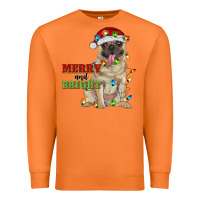 Carrot merry and bright pug Premium Sweatshirt - RanaPortraitStore