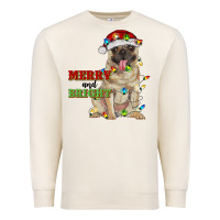 Sandshell merry and bright pug Premium Sweatshirt - RanaPortraitStore