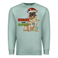 Seafoam merry and bright pug Premium Sweatshirt - RanaPortraitStore