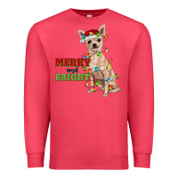 Cardinal merry and bright chihuahua Premium Sweatshirt - RanaPortraitStore
