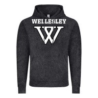 Vintage Black WELLESLEY Vintage Hoodie - baoMotion