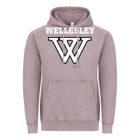 Vintage Zinc WELLESLEY Vintage Hoodie - baoMotion