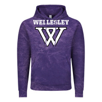 Cloud Purple WELLESLEY Vintage Hoodie - baoMotion
