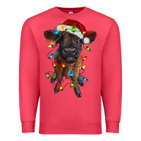 Cardinal highland cow calf with christmas lights Premium Sweatshirt - RanaPortraitStore