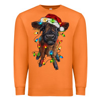 Carrot highland cow calf with christmas lights Premium Sweatshirt - RanaPortraitStore